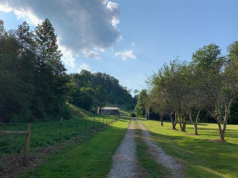 1623 Stan Br, Grayson, KY 41143 photo 22