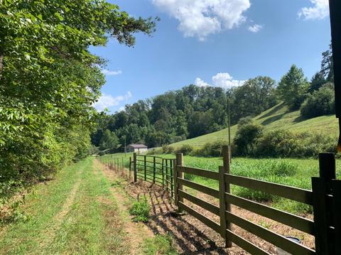 1623 Stan Br, Grayson, KY 41143 photo 18