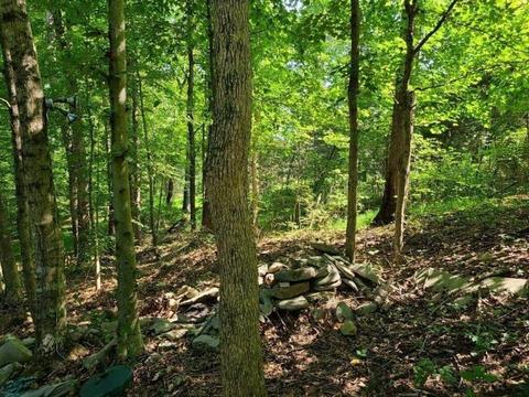 3176 Dixie Bend Rd, Burnside, KY 42519 photo 6
