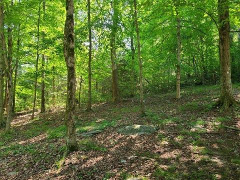 3176 Dixie Bend Rd, Burnside, KY 42519 photo 3