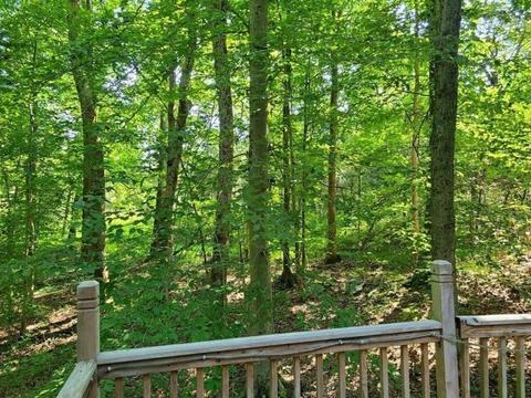 3176 Dixie Bend Rd, Burnside, KY 42519 photo 8