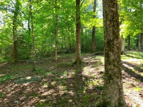3176 Dixie Bend Rd, Burnside, KY 42519 photo 5