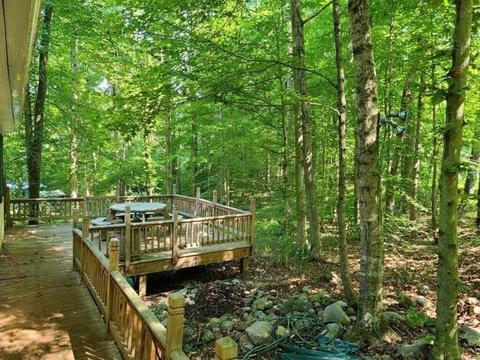 3176 Dixie Bend Rd, Burnside, KY 42519 photo 10