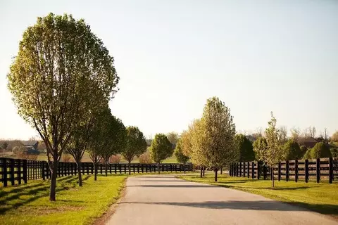 1024 Mitchell Ln, Versailles, KY 40383 photo 47