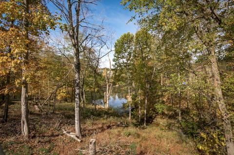 105 Ringbill Ct, Georgetown, KY 40324 photo 48