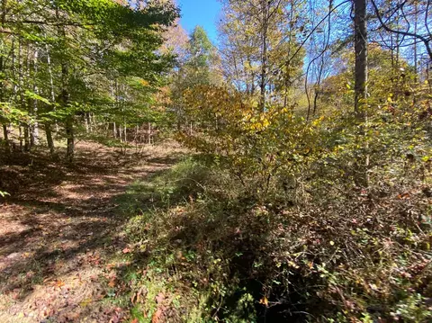 3375 Devils Fork Rd, Sandy Hook, KY 41171 photo 18