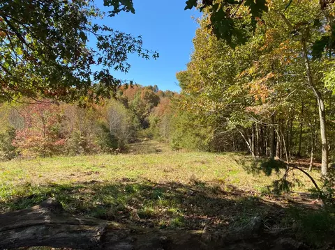 3375 Devils Fork Rd, Sandy Hook, KY 41171 photo 22