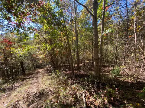 3375 Devils Fork Rd, Sandy Hook, KY 41171 photo 28