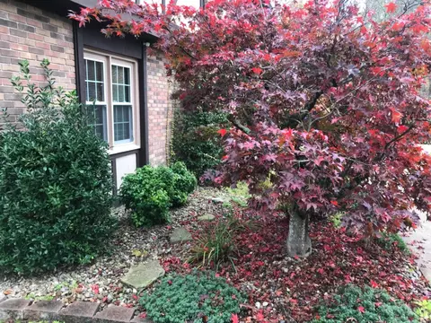 356 Lakeside Ests, Corbin, KY 40701 photo 3