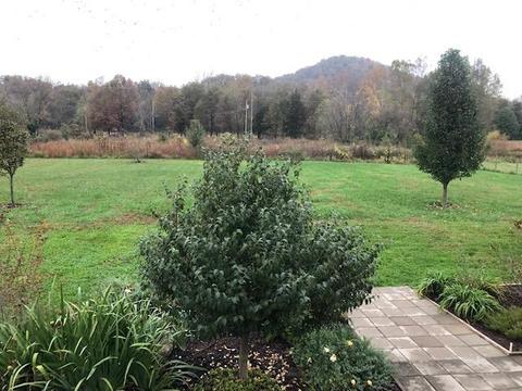 539 Red Lick Rd, Berea, KY 40403 photo 29