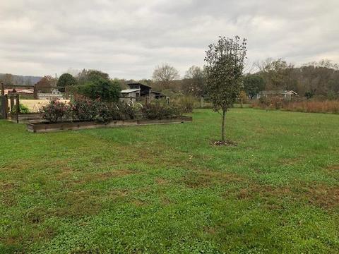 539 Red Lick Rd, Berea, KY 40403 photo 38