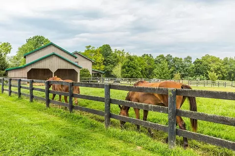 5295 Bryan Station Rd, Paris, KY 40361 photo 48