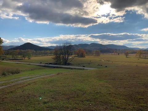 3022 N Bend Rd, Stanton, KY 40380 photo 6