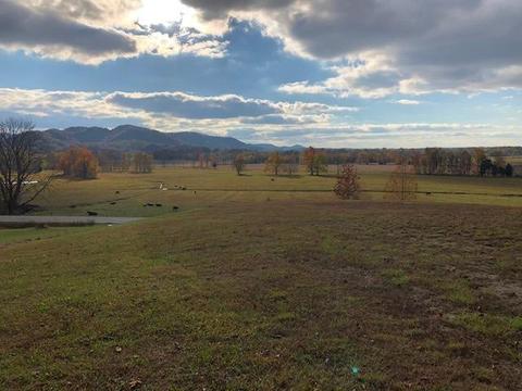 3022 N Bend Rd, Stanton, KY 40380 photo 7