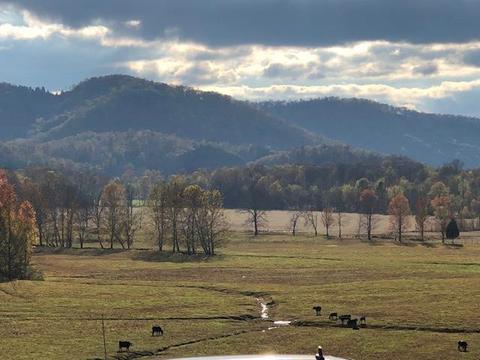 3022 N Bend Rd, Stanton, KY 40380 photo 9