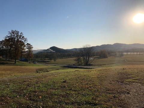 3022 N Bend Rd, Stanton, KY 40380 photo 10