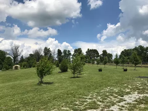 4591 Back Creek Rd, Waddy, KY 40076 photo 8