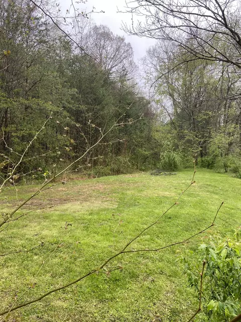 310 Freestone Rd, Morehead, KY 40351 photo 15