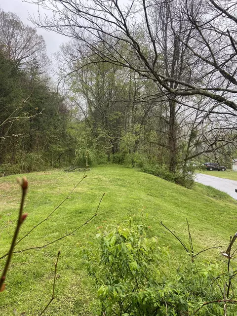 310 Freestone Rd, Morehead, KY 40351 photo 17