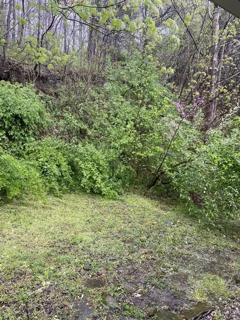 310 Freestone Rd, Morehead, KY 40351 photo 11
