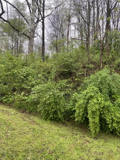 310 Freestone Rd, Morehead, KY 40351 photo 9