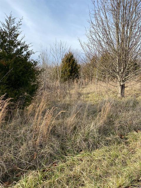 268 Rolling Meadows Dr, Lancaster, KY 40444 photo 3