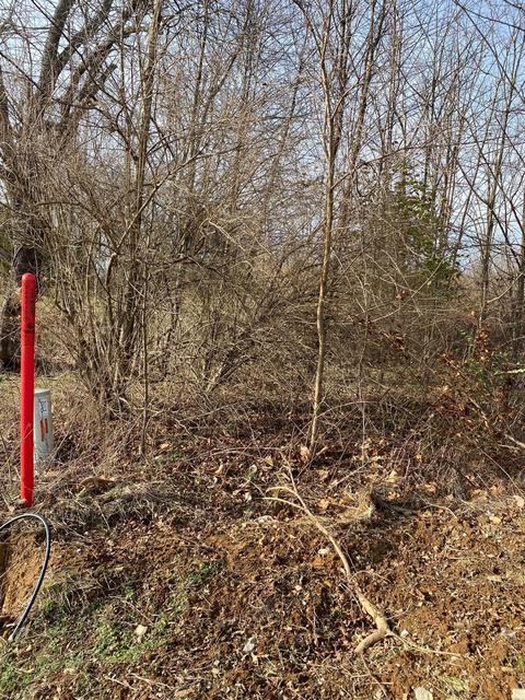 268 Rolling Meadows Dr, Lancaster, KY 40444 photo 4