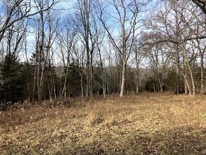 1185 Casey Mill Rd, Berry, KY 41003 photo 12