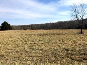 1185 Casey Mill Rd, Berry, KY 41003 photo 14
