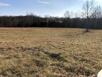 1185 Casey Mill Rd, Berry, KY 41003 photo 18