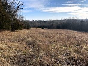 1185 Casey Mill Rd, Berry, KY 41003 photo 15