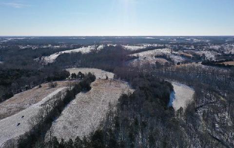 1185 Casey Mill Rd, Berry, KY 41003 photo 3