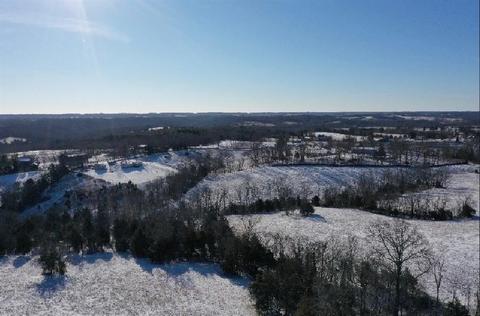 1185 Casey Mill Rd, Berry, KY 41003 photo 6