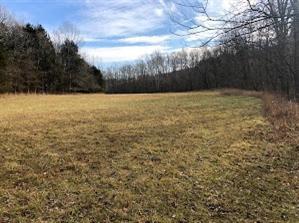 1185 Casey Mill Rd, Berry, KY 41003 photo 16