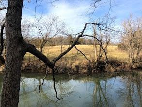 1185 Casey Mill Rd, Berry, KY 41003 photo 10