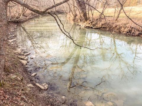 1185 Casey Mill Rd, Berry, KY 41003 photo 8
