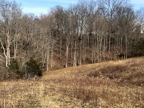 1185 Casey Mill Rd, Berry, KY 41003 photo 11
