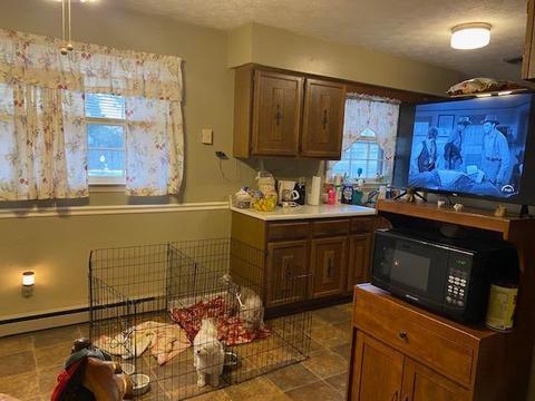 116 Dan Dr, Versailles, KY 40383 photo 4