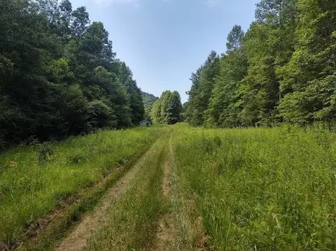 1200 Clearfork Rd, Morehead, KY 40351 photo 76