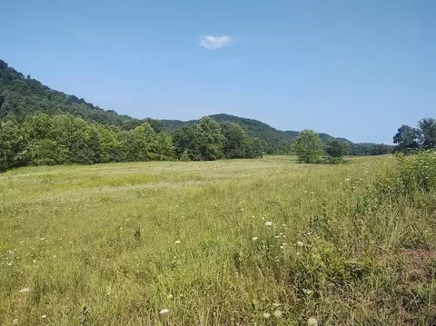 1200 Clearfork Rd, Morehead, KY 40351 photo 54