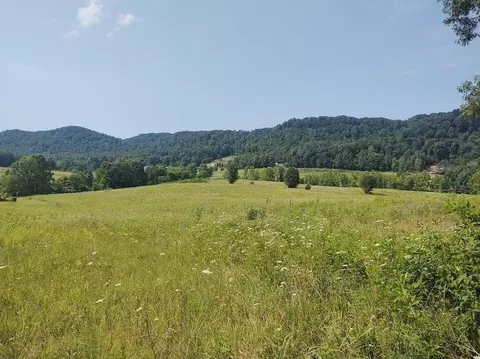 1200 Clearfork Rd, Morehead, KY 40351 photo 47