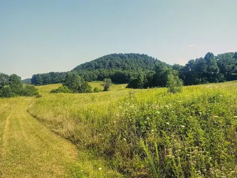 1200 Clearfork Rd, Morehead, KY 40351 photo 58