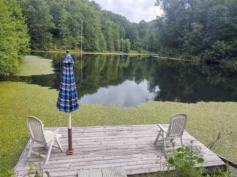 1200 Clearfork Rd, Morehead, KY 40351 photo 75