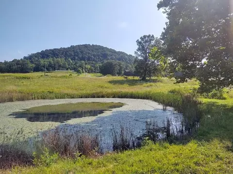 1200 Clearfork Rd, Morehead, KY 40351 photo 64
