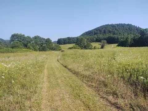 1200 Clearfork Rd, Morehead, KY 40351 photo 60