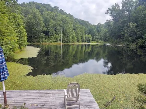 1200 Clearfork Rd, Morehead, KY 40351 photo 72