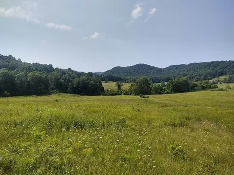 1200 Clearfork Rd, Morehead, KY 40351 photo 44