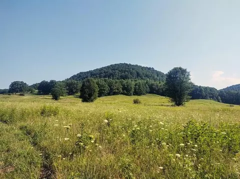 1200 Clearfork Rd, Morehead, KY 40351 photo 53