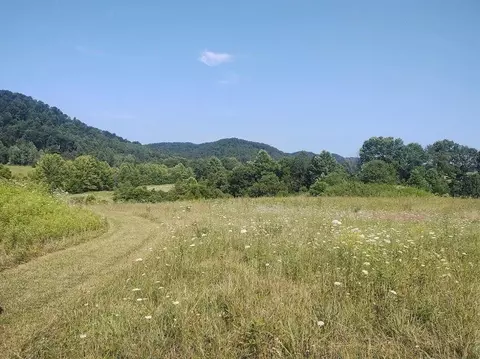1200 Clearfork Rd, Morehead, KY 40351 photo 61