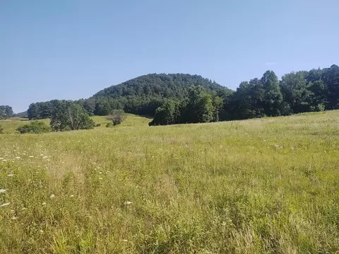 1200 Clearfork Rd, Morehead, KY 40351 photo 57